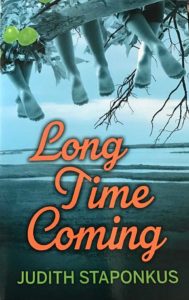 Long Time Coming Book Cover